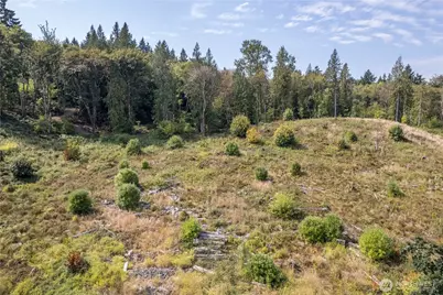 0 Newaukum Valley Road, Chehalis, WA 98532 - Photo 6