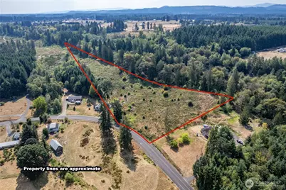 0 Newaukum Valley Road, Chehalis, WA 98532 - Photo 2
