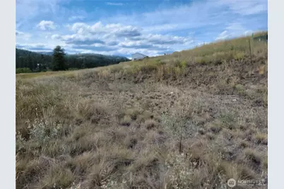 0 Curlew Drive, Republic, WA 99166 - Photo 12