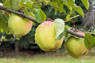 3951 S Tyler Road, Port Angeles, WA 98363 - Photo 36