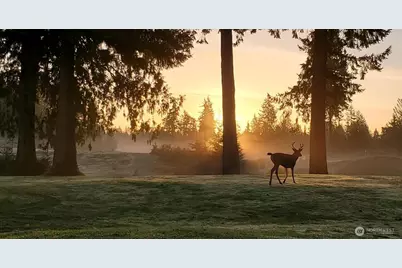 5991 Thornhill Avenue SW, Port Orchard, WA 98367 - Photo 20