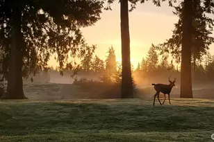 5991 Thornhill Ave SW, Port Orchard, WA 98367 - Photo 20