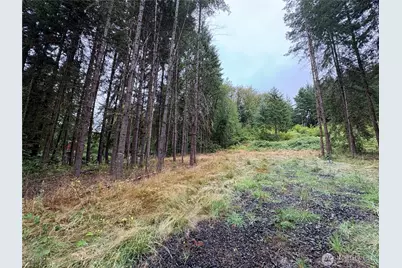 0 Lot B-D SE Rose Street, Winlock, WA 98596 - Photo 2