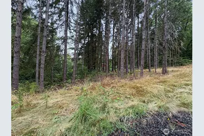 0 Lot B-D SE Rose Street, Winlock, WA 98596 - Photo 4