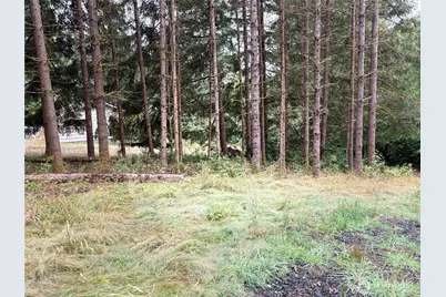 0 Lot B-D SE Rose Street, Winlock, WA 98596 - Photo 8