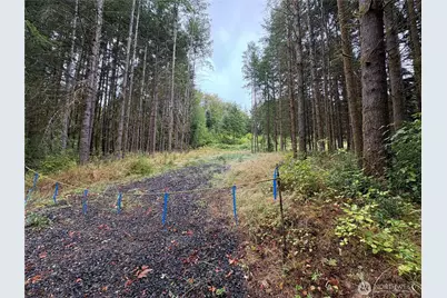 0 Lot B-D SE Rose Street, Winlock, WA 98596 - Photo 1