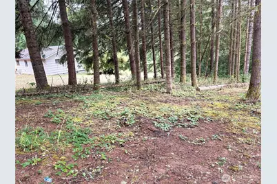 0 Lot B-D SE Rose Street, Winlock, WA 98596 - Photo 10