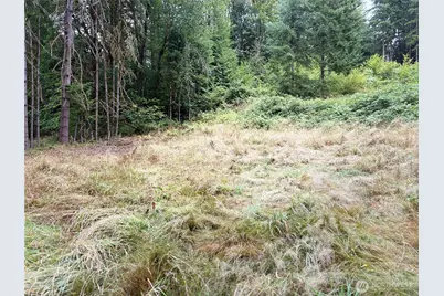 0 Lot B-D SE Rose Street, Winlock, WA 98596 - Photo 6