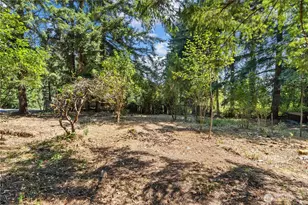 13227 SE 212th Pl, Kent, WA 98042 - Photo 38