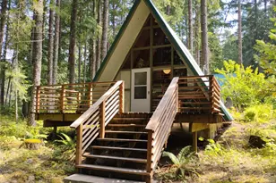 119 Timberline Dr W, Packwood, WA 98361 - Photo 1