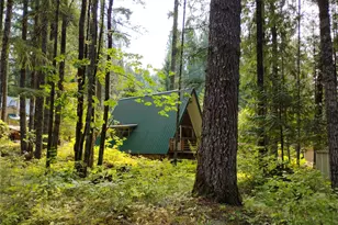 119 Timberline Dr W, Packwood, WA 98361 - Photo 26