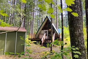 119 Timberline Dr W, Packwood, WA 98361 - Photo 24