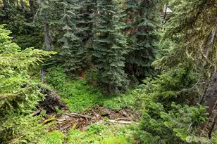 101 Gold Hill Rd E, Enumclaw, WA 98022 - Photo 32