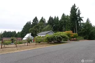 12606 Silver Dr, Anderson Island, WA 98303 - Photo 2