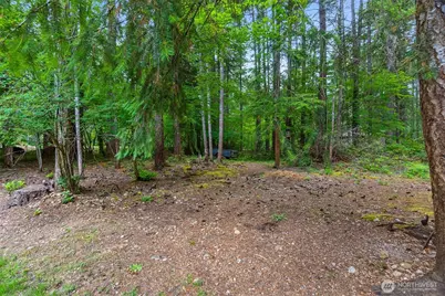 0 Xx N Mountain View Drive, Hoodsport, WA 98548 - Photo 6
