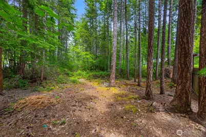 0 Xx N Mountain View Drive, Hoodsport, WA 98548 - Photo 4