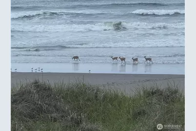 1317 Ocean Shores Boulevard SW #4, Ocean Shores, WA 98569 - Photo 22