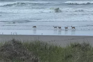 1317 Ocean Shores Blvd SW, Ocean Shores, WA 98569 - Photo 22