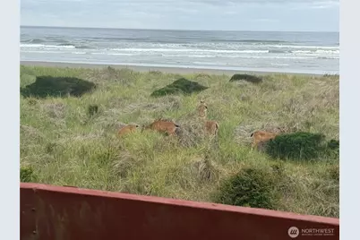 1317 Ocean Shores Boulevard SW #4, Ocean Shores, WA 98569 - Photo 24