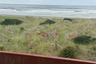 1317 Ocean Shores Blvd SW, Ocean Shores, WA 98569 - Photo 24