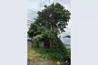 809 26th Avenue E, Seattle, WA 98112 - Photo 1