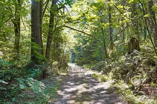 29021 NE 52nd St, Carnation, WA 98014 - Photo 36