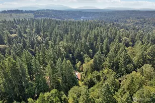 29021 NE 52nd St, Carnation, WA 98014 - Photo 30