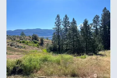 113 Eagles Bluff Road, Oroville, WA 98844 - Photo 34