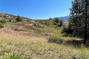 113 Eagles Bluff Rd, Oroville, WA 98844 - Photo 32