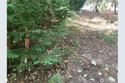 1239 Nooksack Drive, Fox Island, WA 98333 - Photo 12