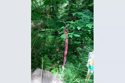 1239 Nooksack Drive, Fox Island, WA 98333 - Photo 6