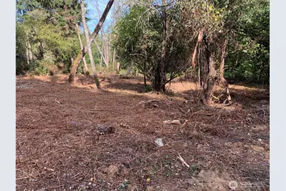 1239 Nooksack Drive, Fox Island, WA 98333 - Photo 4