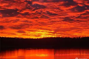 221 Madrona Rd, Nordland, WA 98358 - Photo 40