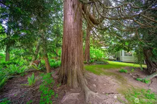 5426 Quail Run, Blaine, WA 98230 - Photo 30