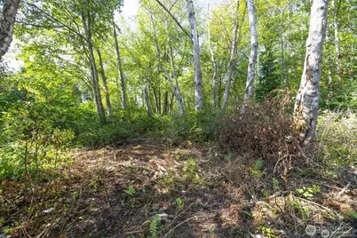 0 Xxx Brown Road, Ferndale, WA 98248 - Photo 10