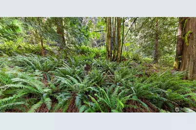 14 Woodpecker Place, Bellingham, WA 98229 - Photo 22