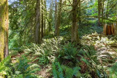 14 Woodpecker Place, Bellingham, WA 98229 - Photo 14