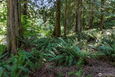 14 Woodpecker Place, Bellingham, WA 98229 - Photo 10