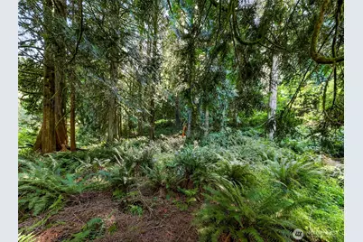 14 Woodpecker Place, Bellingham, WA 98229 - Photo 6