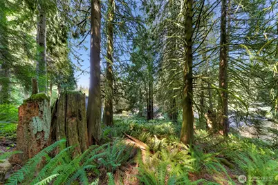 14 Woodpecker Place, Bellingham, WA 98229 - Photo 20