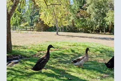11700 NE 279th Street, Battle Ground, WA 98604 - Photo 24