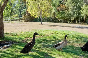 11700 NE 279th St, Battle Ground, WA 98604 - Photo 24