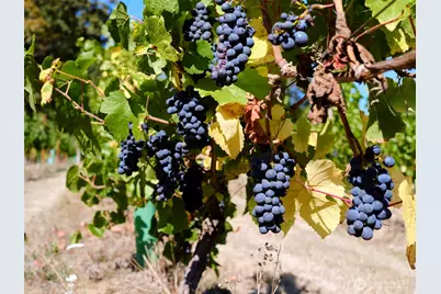 11700 NE 279th Street, Battle Ground, WA 98604 - Photo 32