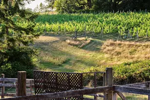 11700 NE 279th St, Battle Ground, WA 98604 - Photo 20