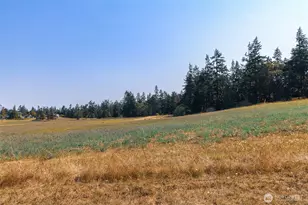 83 Medsker Rd, Sequim, WA 98382 - Photo 40