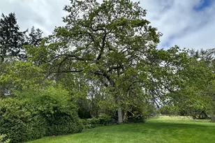 83 Medsker Rd, Sequim, WA 98382 - Photo 24