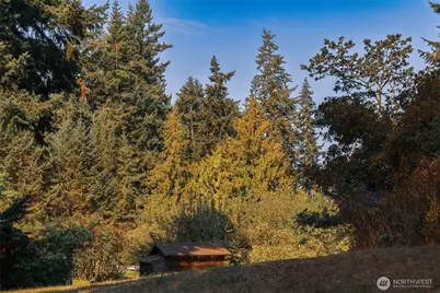 83 Medsker Road, Sequim, WA 98382 - Photo 36