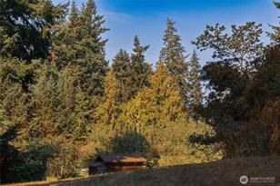 83 Medsker Rd, Sequim, WA 98382 - Photo 36