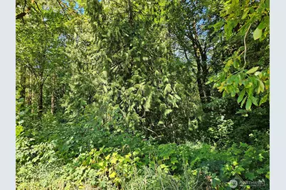 12630 183rd Avenue SW, Rochester, WA 98579 - Photo 10