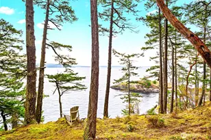 976 San Juan Dr, Friday Harbor, WA 98250 - Photo 28